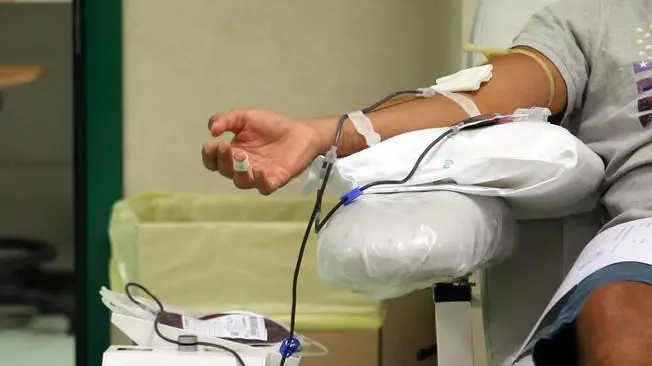 Un prelievo di sangue all'interno del Servizio di emotrasfusione nel Policlinico Agostino Gemelli a Roma, 12 agosto 2017. Mancano tre mesi alla fine dell'anno ma il 2017 già si preannuncia come l' "annus horribilis" per la raccolta di sangue in Italia, complici il terremoto, l'ondata di influenza prima e ora di caldo in un anno le richieste sono raddoppiate (dalle 6mila del 2016 alle 12mila quest'anno sempre nel periodo giugno-luglio) e senza nuovi donatori in autunno sono a rischio i pazienti oncologici, gli anemici ma anche gli interventi chirurgici proigrammati. ANSA/ MICHELA SUGLIA