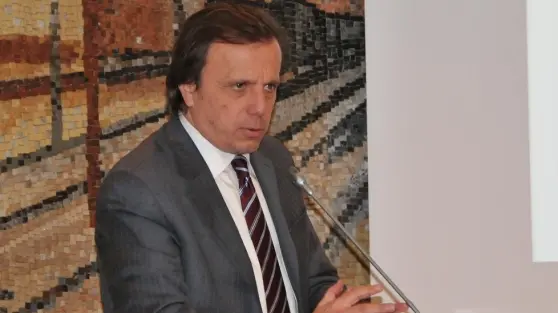 Diego Volpe Pasini