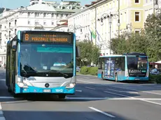 Lasorte Trieste 07/08/21 - Autobus, Bus, Trieste Trasporti