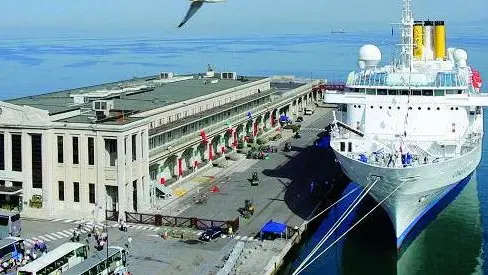 sterle trieste l'arrivo della costa marina