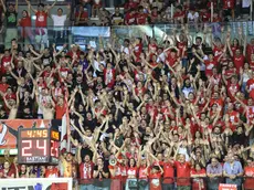 Il tifo del PalaTrieste (Lasorte)