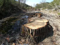 Un'immagine dello scempio della Val Rosandra del 2012