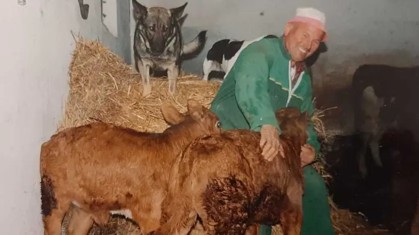 Silvano Tomadin nella sua stalla insieme ai suoi animali