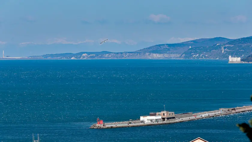 Silvano Trieste 2020-03-31 Uno sguardo sulla citta' in una giornata ventosa