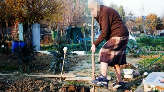 Un'anziana al lavoro in un orto in un'immagine di archivio