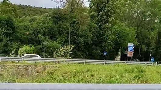 L’immagine diffusa da Bussani
