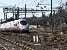 monselice 24/02/2014.ragazza di 15 anni finisce sotto un treno e perde un arto.nella foto : il passaggio di un trano vicino al luogo dell'impatto.ph zangirolami