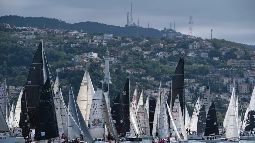 La Barcolana 56 (Silvano)