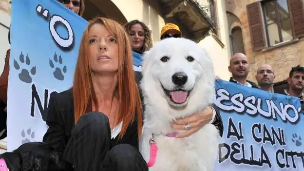 L'onorevole Michela Vittoria Brambilla con un cane fuori dal consiglio regionale a Udine 15 ottobre 2012. Via libera a cani, gatti e altri animali domestici al guinzaglio in tutte le strutture pubbliche e negli esercizi commerciali del Friuli Venezia Giulia dal prossimo 17 ottobre, quando sarà pubblicata sul Bur la legge regionale 'Norme per il benessere e la tutela degli animali domestici di affezione'. ANSA/Federazione Italiana Ass Diritti Animali e Ambiente -HO- EDITORIAL USE ONLY