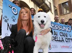L'onorevole Michela Vittoria Brambilla con un cane fuori dal consiglio regionale a Udine 15 ottobre 2012. Via libera a cani, gatti e altri animali domestici al guinzaglio in tutte le strutture pubbliche e negli esercizi commerciali del Friuli Venezia Giulia dal prossimo 17 ottobre, quando sarà pubblicata sul Bur la legge regionale 'Norme per il benessere e la tutela degli animali domestici di affezione'. ANSA/Federazione Italiana Ass Diritti Animali e Ambiente -HO- EDITORIAL USE ONLY