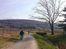 Una pedalata lungo la Parenzana