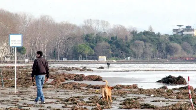 Altran Grado-danni maltempo spiaggia