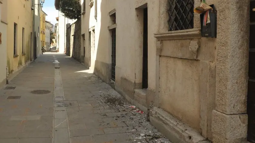 Bumbaca Gorizia 23.03.2010 Gradisca e i piccioni - Foto di Pierluigi Bumbaca