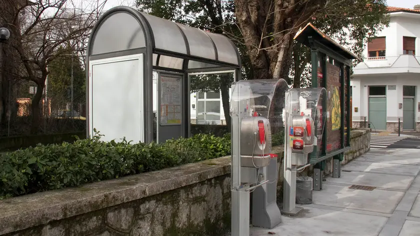 Bonaventura Monfalcone-18.02.2016 Fermata del bus depositata nel giardino-Piazza Unità-Ronchi dei Legionari-foto di Katia Bonaventura