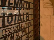 sterle trieste negozi chiusi madras corso italia