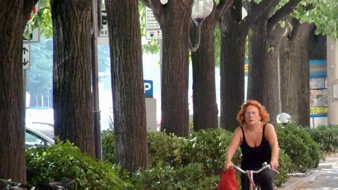 Altran Mf-piste ciclabili Viale