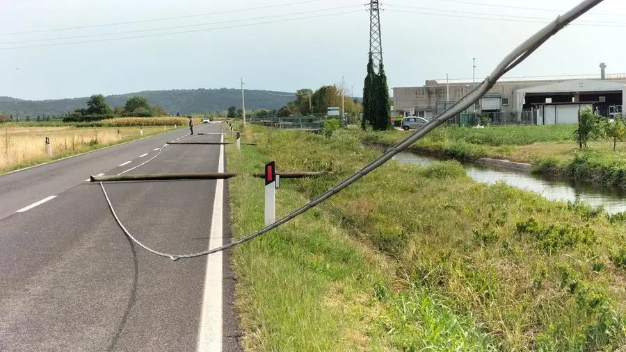 I pali del telefono abbattuti a Moraro (Marega)
