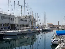 Lasorte Trieste 23/04/18 - Sacchetta, Pontile Istria, Società Triestina della Vela