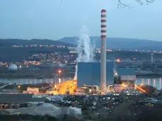 Il termovalorizzatore di via Errera