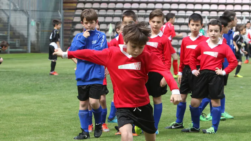 Lasorte Trieste 01/06/14 - Stadio Rocco, Pulcini