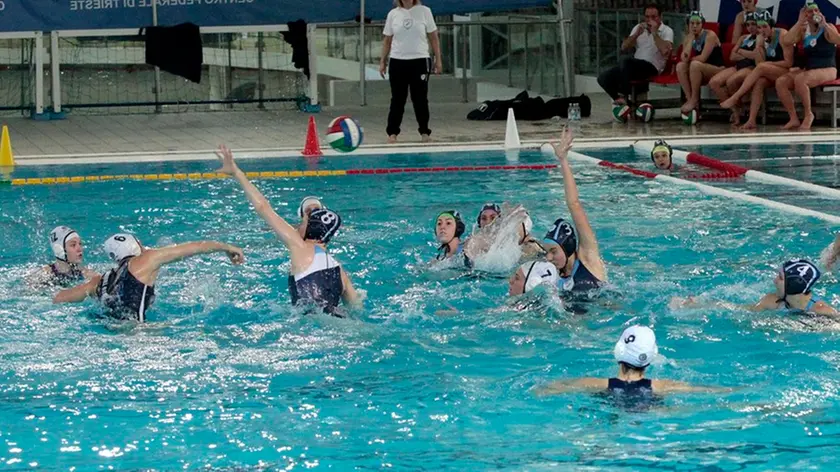 Silvano Trieste 22/01/2017 Pallanuoto, le Orchette