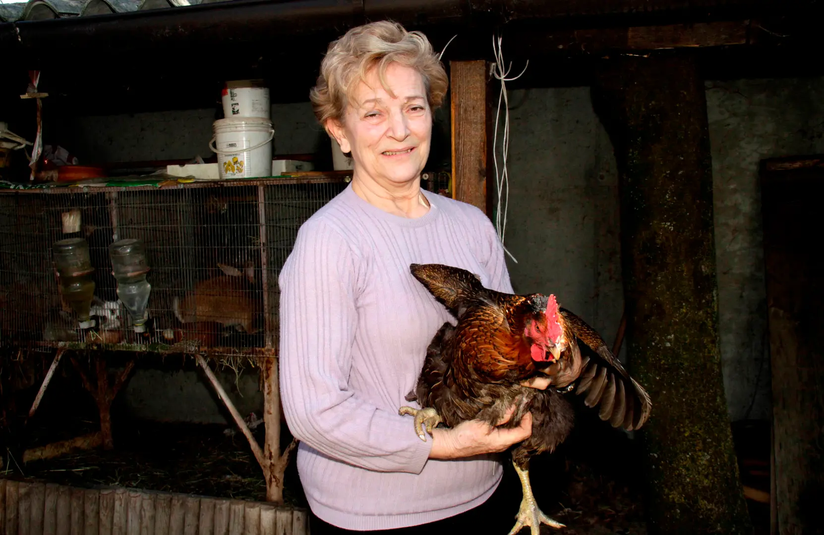 La signora Giuliana con in braccio "Cocca" (Foto Bonaventura)