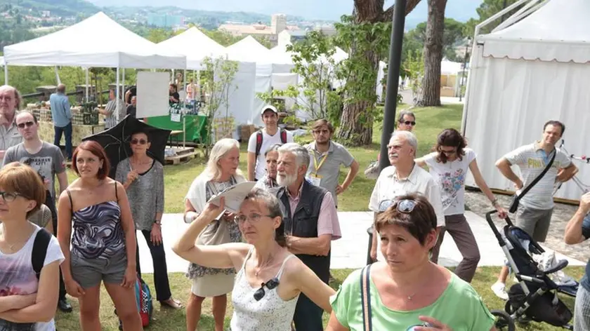 Bumbaca Gorizia 05.07.201 Festival vegetariano Varie Fotografia di Pierluigi Bumbaca