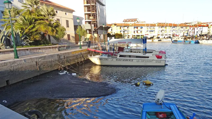 I fanghi emergono dall’acqua quando c’è bassa marea (Foto Boemo)
