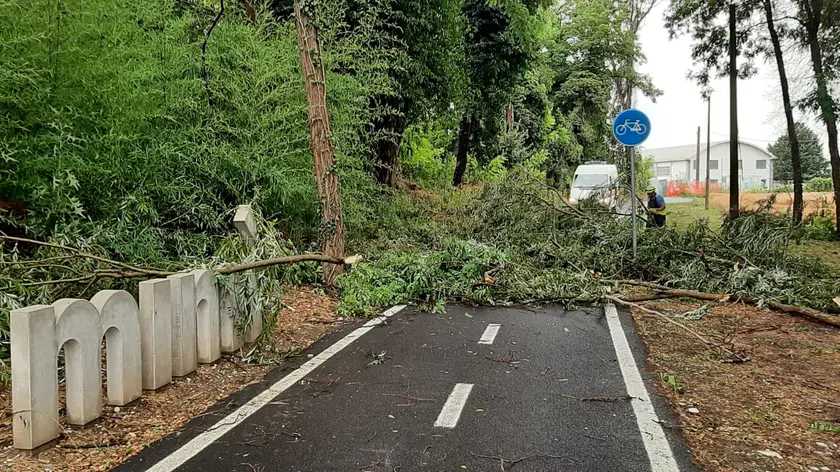 L'intervento sulla ciclabile a Turriaco