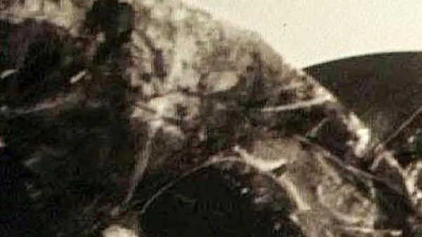 20030109 - ROMA - SPE - PREMI: IL NONINO A VEDOVA, BANVILLE E DAMASIO - Una foto d' archivio del pittore Emilio Vedova. ANDREA MEROLA/ARCHIVIO ANSA7DEF