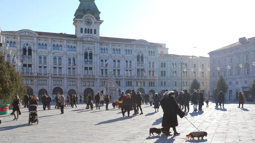 Lasorte Trieste 08/01/17 - Piazza Unità, Freddo, Cani con Cappottino