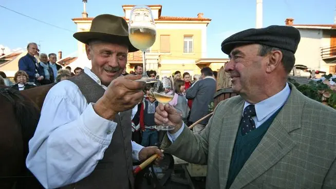 Lasorte Trieste 09/11/08 - Prosecco, Festa di S.Martino