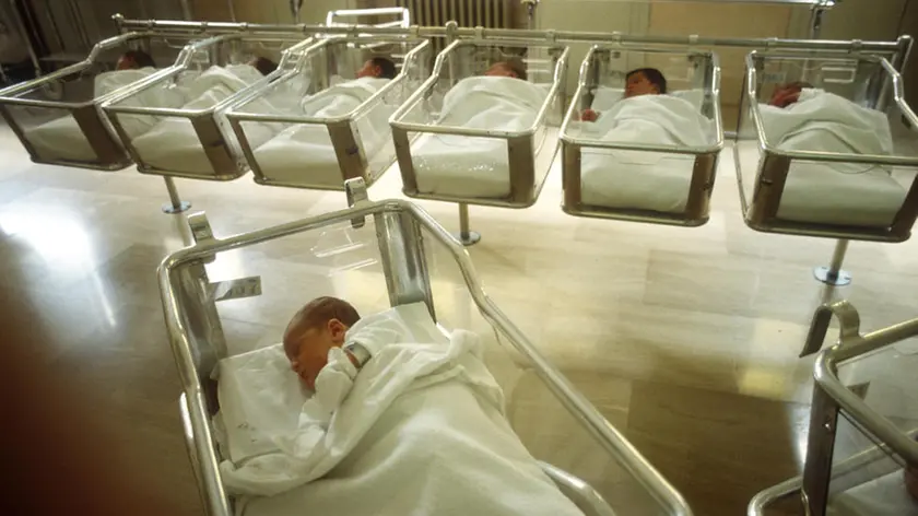 Newborn babies sleeping in hospital nursery