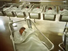 Newborn babies sleeping in hospital nursery