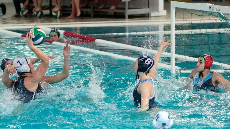 Silvano Trieste 22/01/2017 Pallanuoto, le Orchette