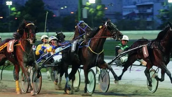 STERLE TRIESTE IPPODROMO DI MONTEBELLO INAUGURAZIONE DELLA NUOVA PISTA E GRAN PREMIO CITTA' DI TRIESTE arrivo gran premio