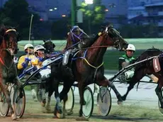 STERLE TRIESTE IPPODROMO DI MONTEBELLO INAUGURAZIONE DELLA NUOVA PISTA E GRAN PREMIO CITTA' DI TRIESTE arrivo gran premio