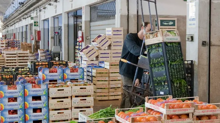 Silvano Trieste 10/11/2011 Mercato Ortofrutticolo