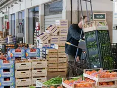 Silvano Trieste 10/11/2011 Mercato Ortofrutticolo