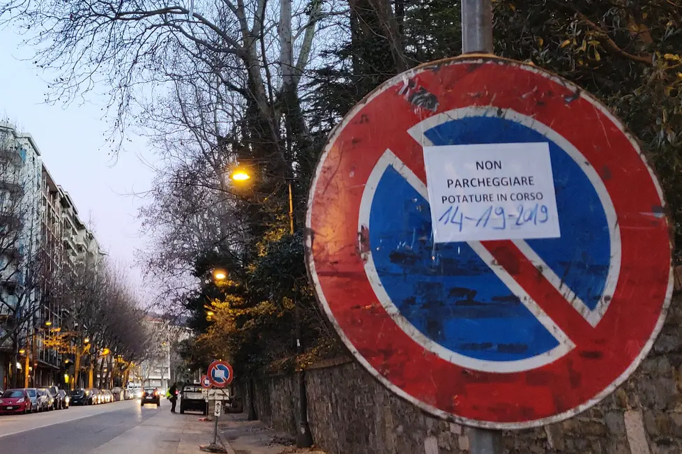 Lasorte Trieste 15/01/19 - Viale Ippodromo, Taglio Alberi