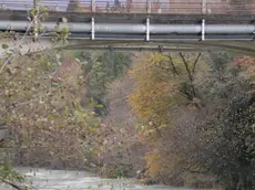 L'Isonzo