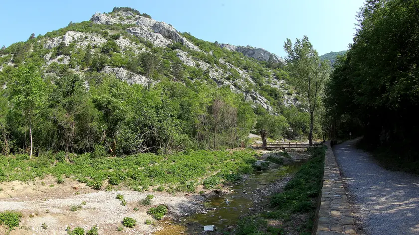 Un'immagine della Val Rosandra