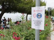 Lasorte Trieste 11/07/19 - Barcola, Viale Miramare, Cartelli Raccomandazione Abbigliamento Adeguato