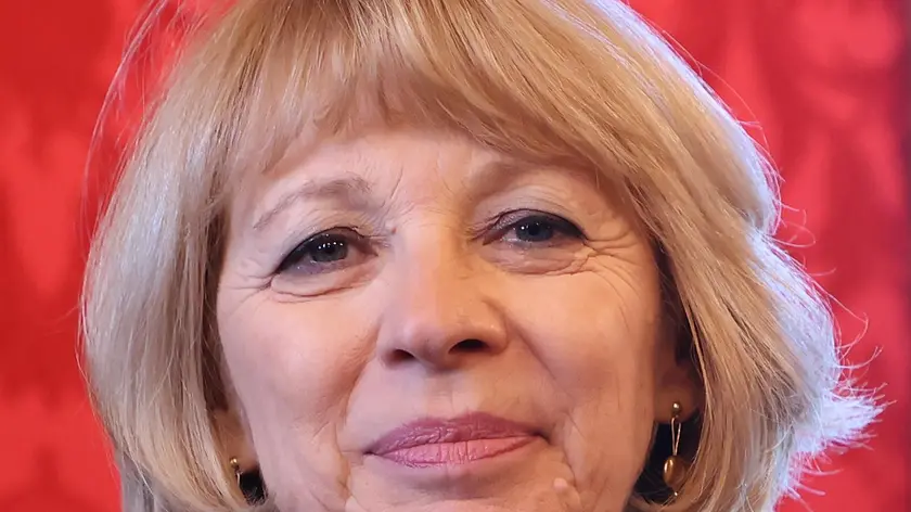 Andreina Contessa