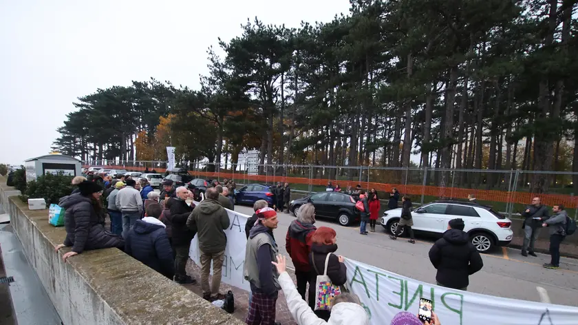 Un momento della manifestazione in via Valdoni accanto alla pineta di Cattinara (foto Lasorte)