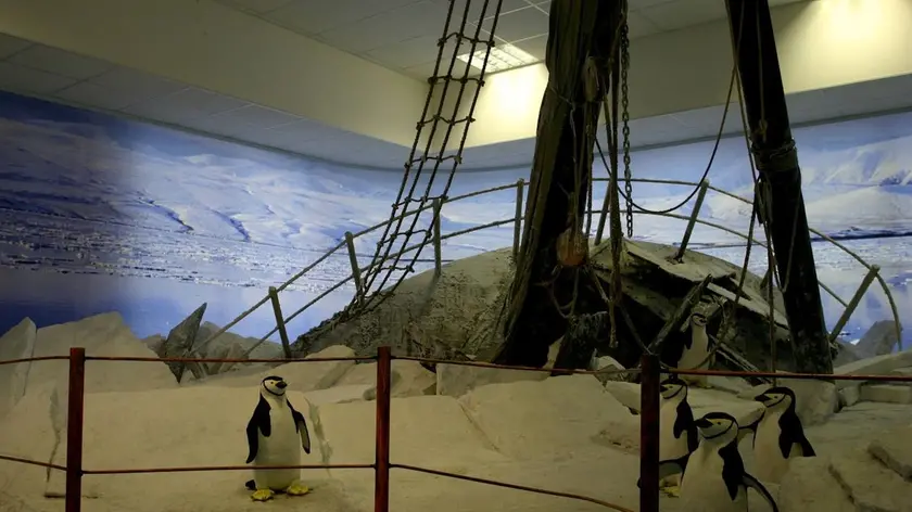 L’interno del Museo dell’Antartide