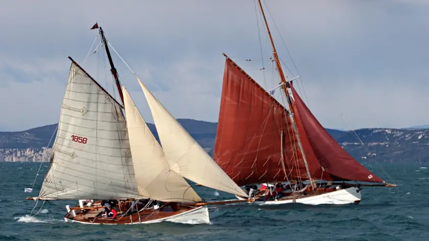 Sorella con le vele bianche affianca il cutter Moya