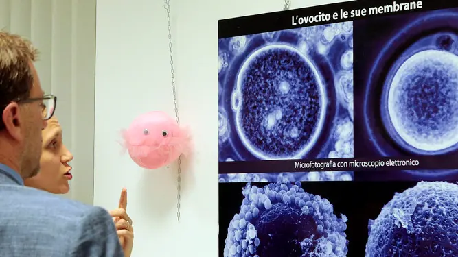 Silvano Trieste 2018-11-06 Villa Prinz, inaugurazione mostra "Dalla Cellula all' Uomo"