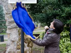 Silvano Trieste 22/12/2013 Giardino Pubblico, intitolazione piazzale ad Ave Ninchi