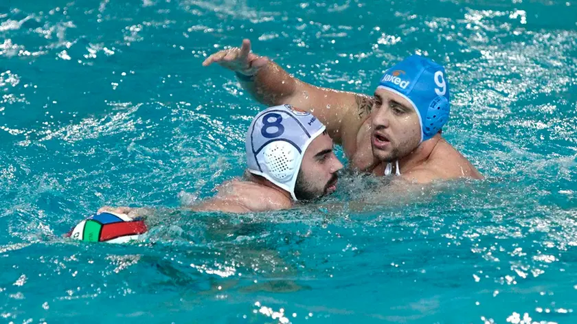 Silvano Trieste 28/01/2017 Pallanuoto, Pallanuoto Trieste - Acquachiara